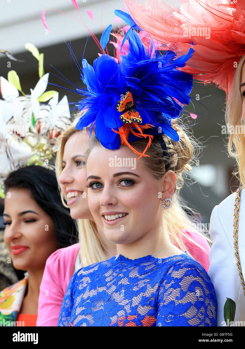 2016 Cheltenham Festival - Ladies Day - Cheltenham Racecourse Stockfoto