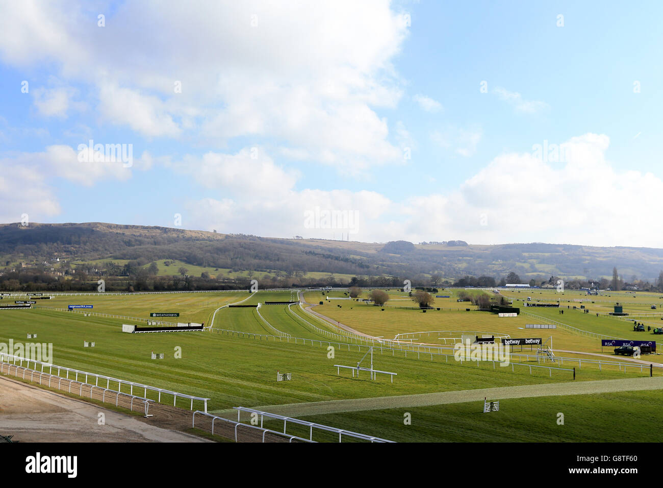 2016 Cheltenham Festival - Ladies Day - Cheltenham Racecourse Stockfoto