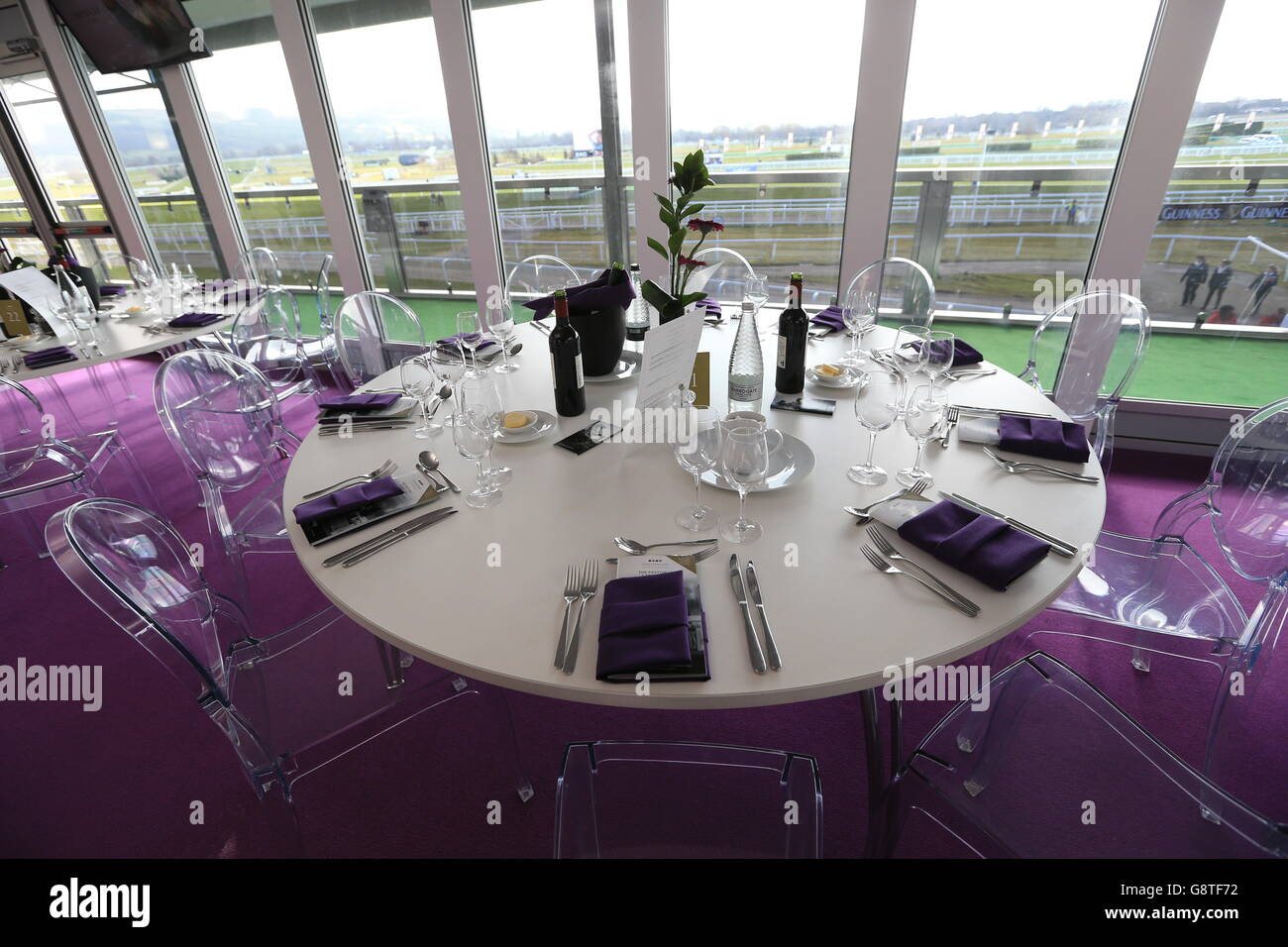 2016 Cheltenham Festival - Ladies Day - Cheltenham Racecourse Stockfoto