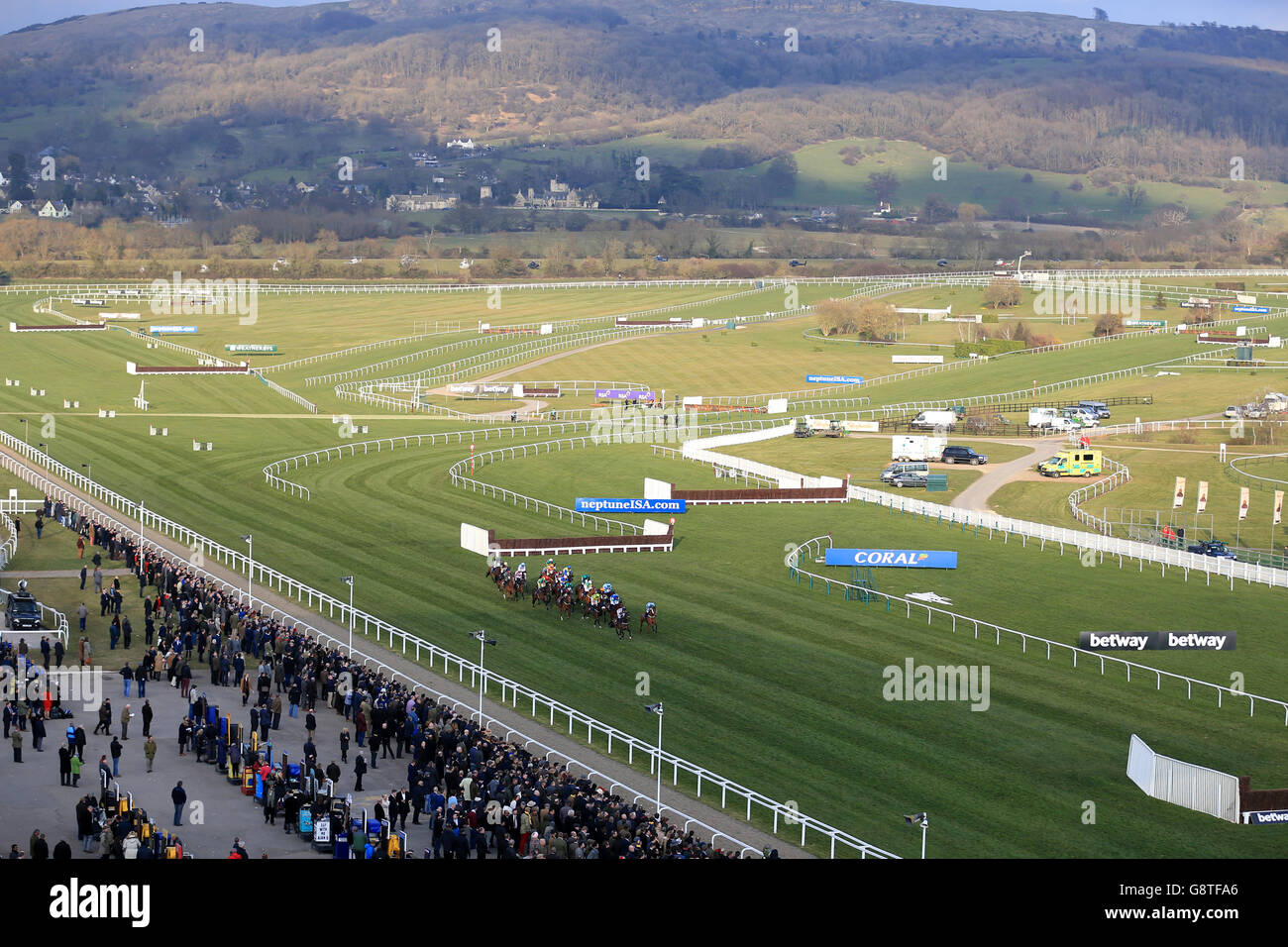 2016 Cheltenham Festival - Ladies Day - Cheltenham Racecourse Stockfoto