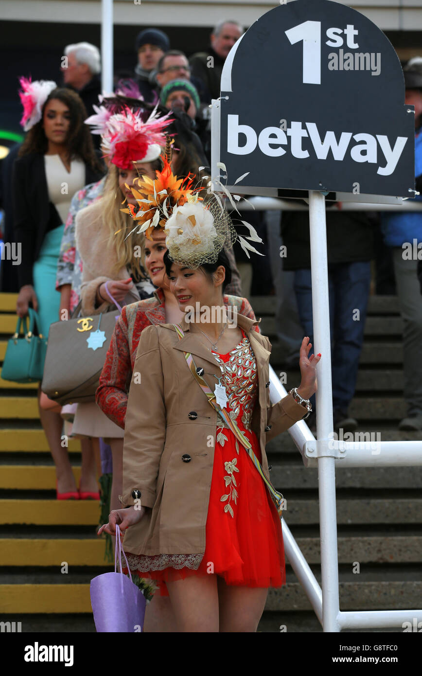 Modische Rennfahrer während des Ladies Day beim Cheltenham Festival 2016 auf der Cheltenham Rennbahn. Stockfoto