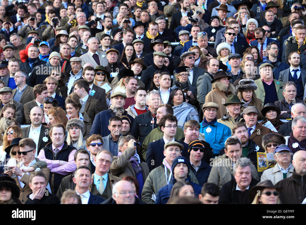 2016 Cheltenham Festival - St. Patrick Donnerstag - Cheltenham Racecourse Stockfoto