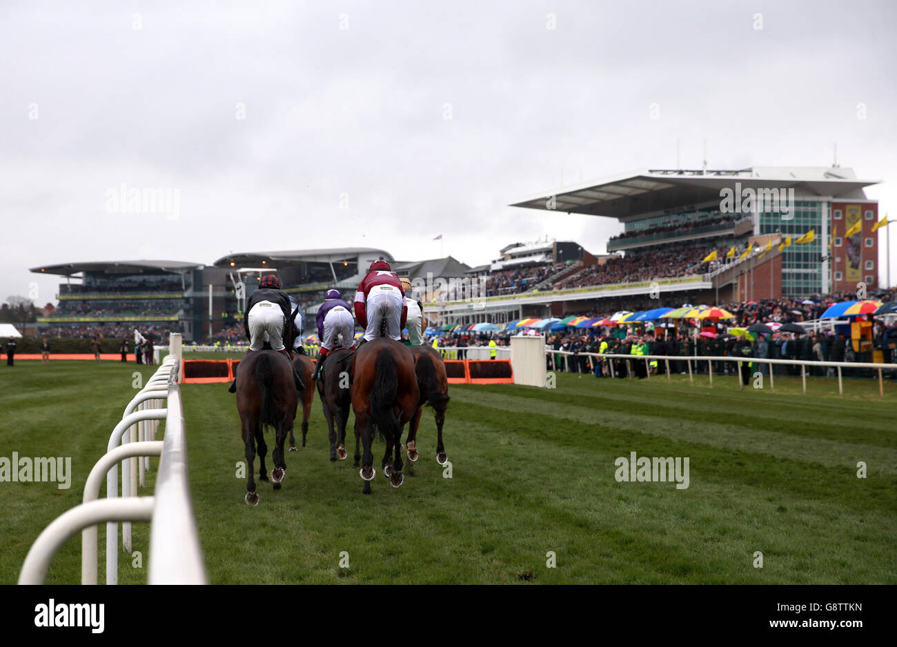 Läufer und Reiter in Liverpool bleiben während des Grand National Day des Crabbie's Grand National Festivals auf der Aintree Racecourse, Liverpool, auf der Hürde. Stockfoto