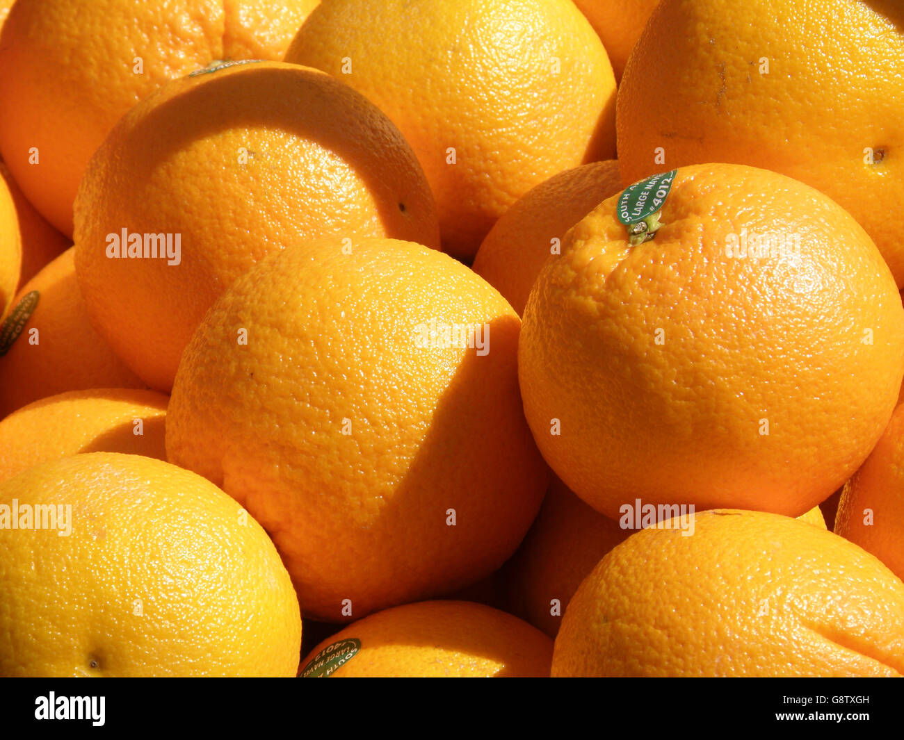 Florida orangenhain -Fotos und -Bildmaterial in hoher Auflösung – Alamy Florida orangenhain -Fotos und -Bildmaterial in hoher Auflösung – Alamy