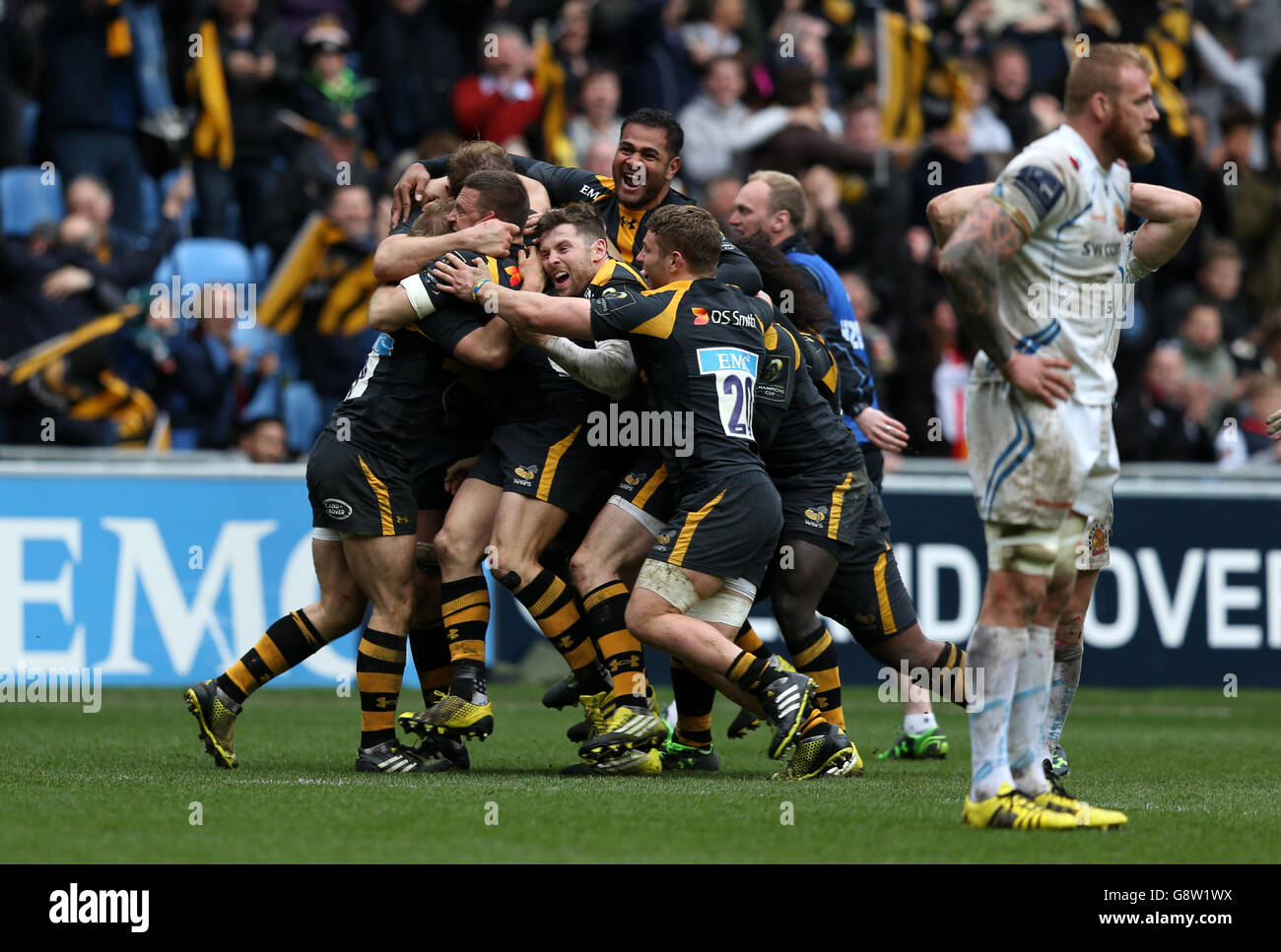 Wasps feiern den Gewinn des European Champions Cup, des Viertelfinalmatches in der Ricoh Arena, Coventry. Stockfoto