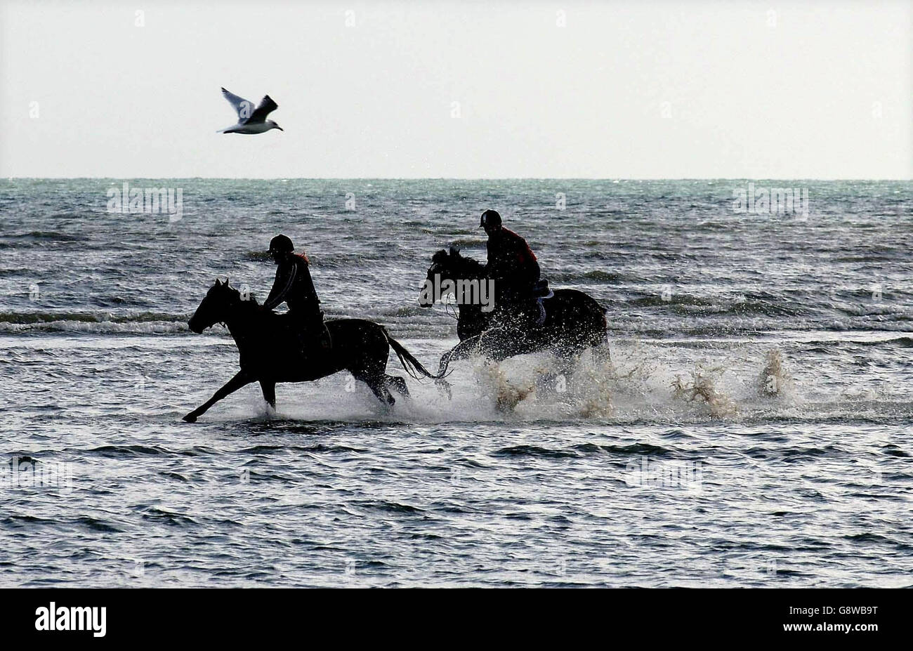 Am Samstag, den 23 2005. September, werden ein paar Pferde auf einem Galopp auf dem Strand von Liadtown in der Nähe von Dublin genommen. Der Strand von Dublin ist berühmt für seine einzige Pferderennbahn, aber jedes Wochenende ist es ein Magnet für viele Pferdeliebhaber in der Gegend von Dublin, um ihre Pferde zu trainieren. DRÜCKEN SIE VERBANDSFOTO. Das Foto sollte lauten: John Giles/PA Stockfoto