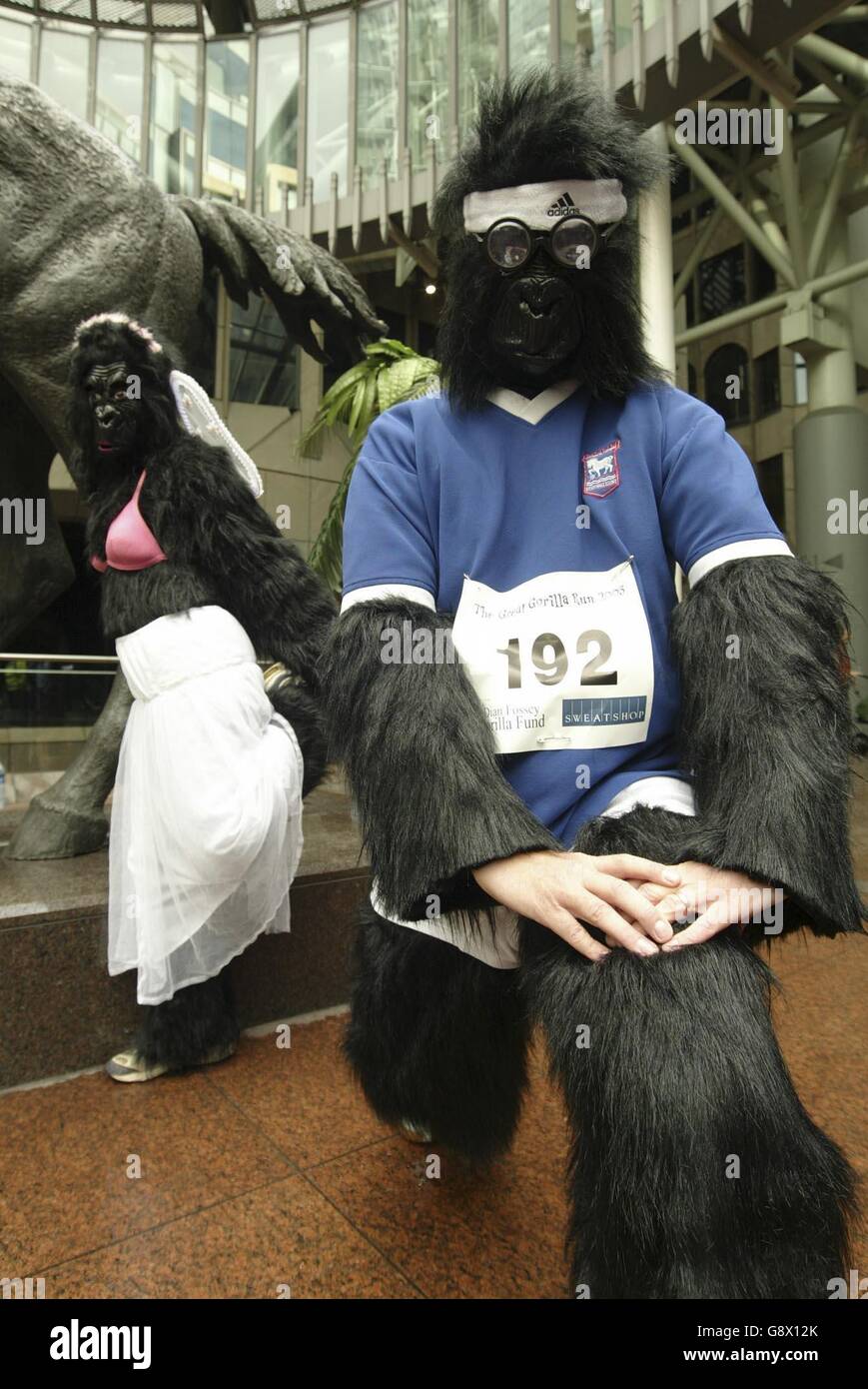 Läufer im Gorilla Kostüm strecken sich, bevor sie am Great Gorilla Run teilnehmen. Die Teilnehmer hatten 7km durch Zentral-London gelaufen, um Geld für den Dian Fossey Gorilla Fund zu sammeln. Stockfoto