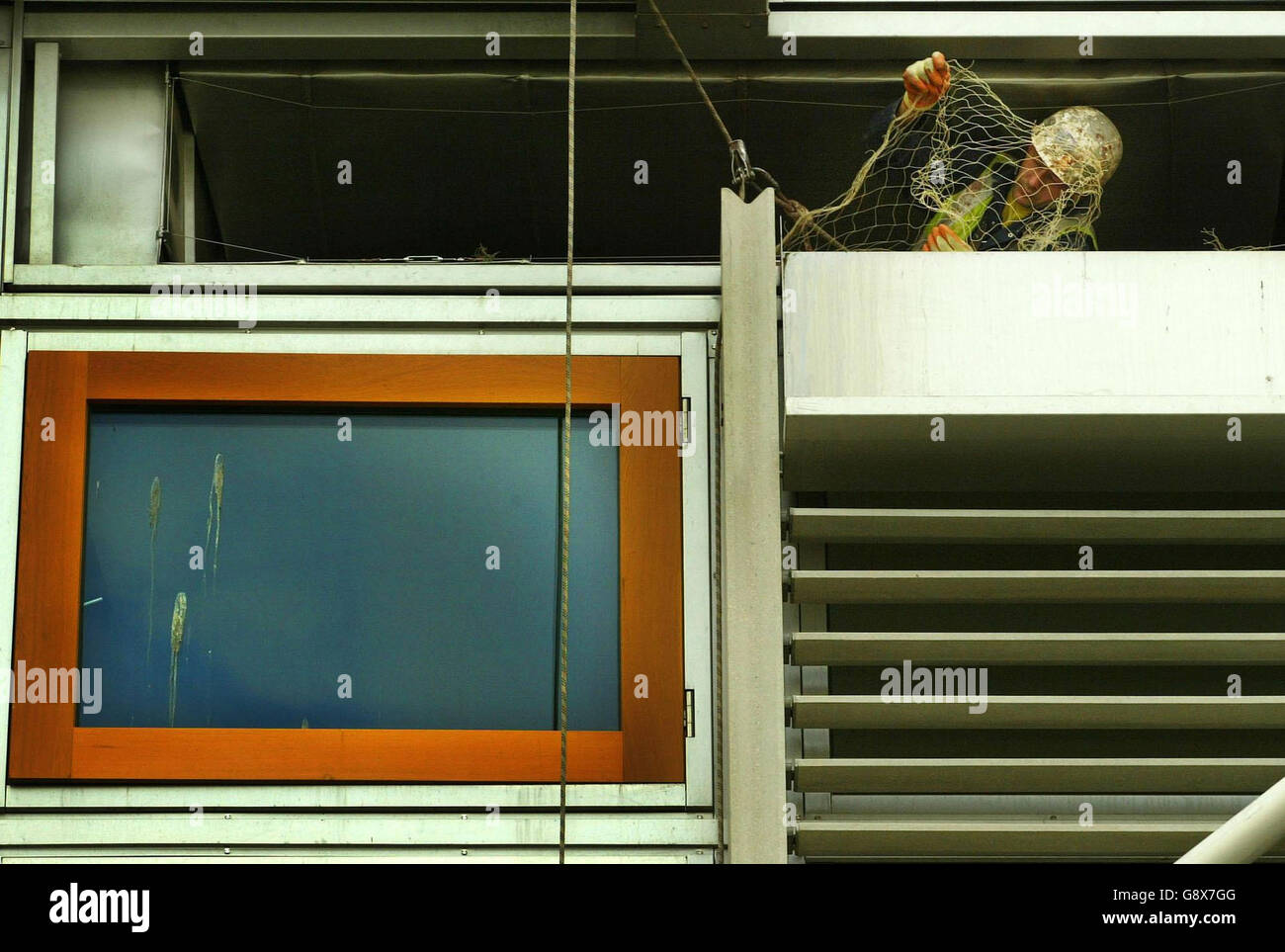 Schottland-Vögel Stockfoto