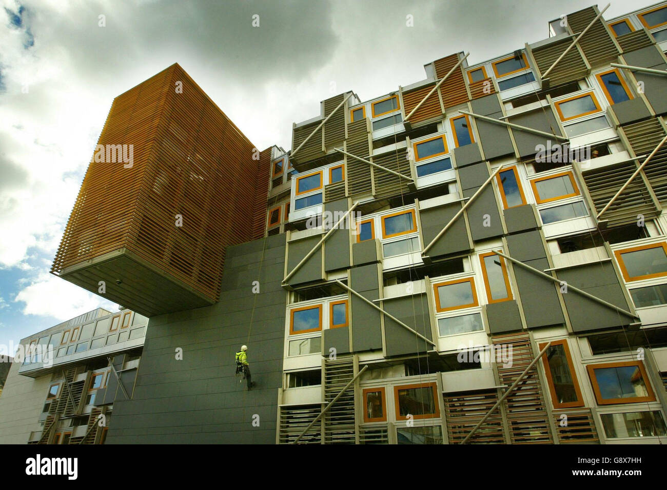 Schottland-Vögel Stockfoto