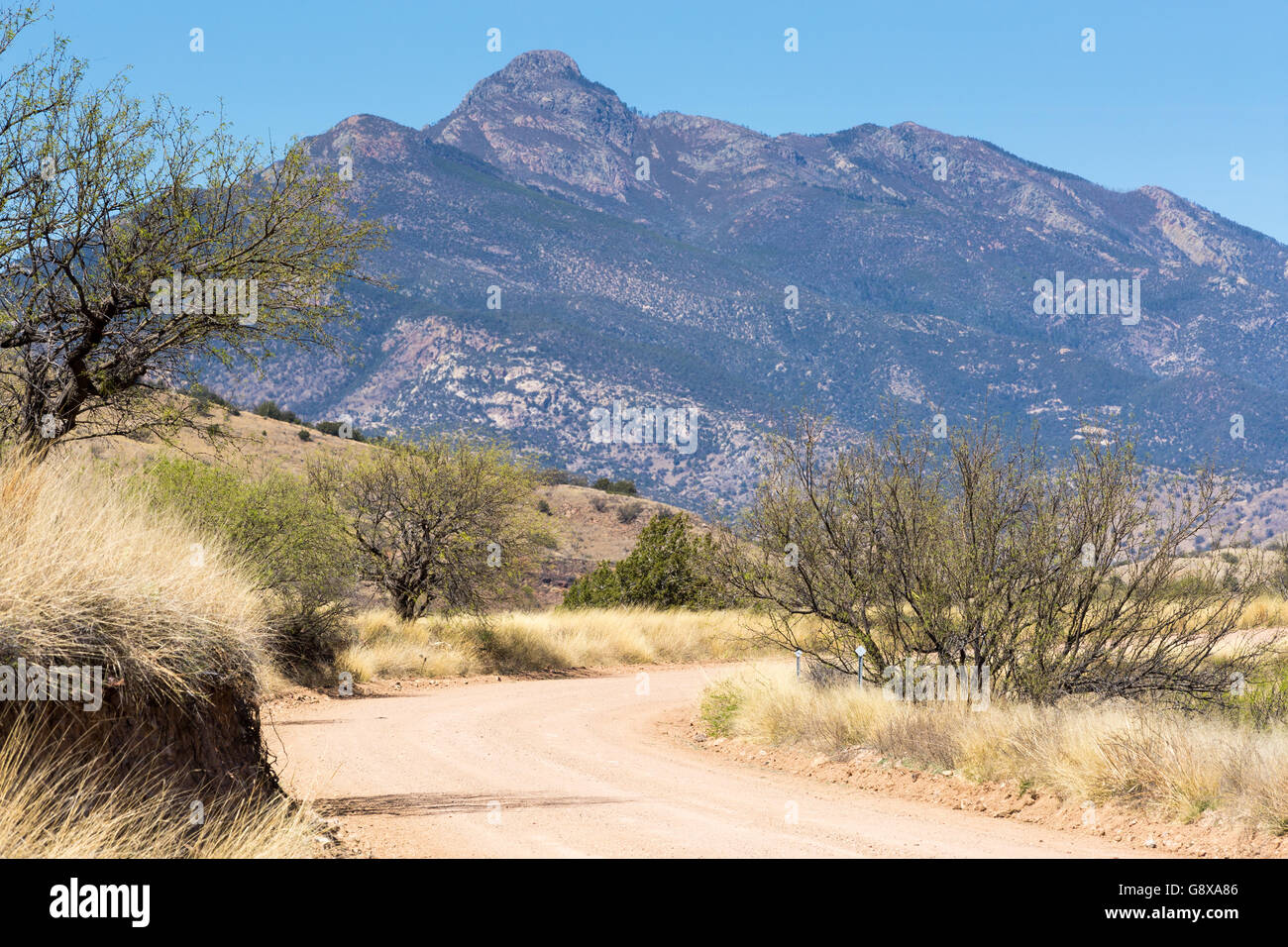 Ein Feldweg in Richtung Santa Rita Mountains im Süden Arizonas Wicklung. Coronado National Forest, Arizona Stockfoto