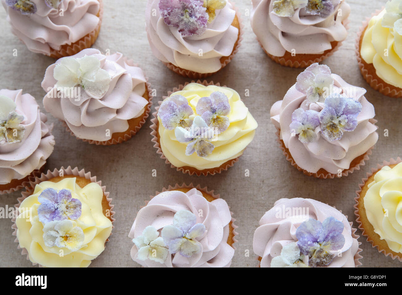 Lila und gelb-Cupcakes mit gezuckerten essbare Blumen Stockfoto