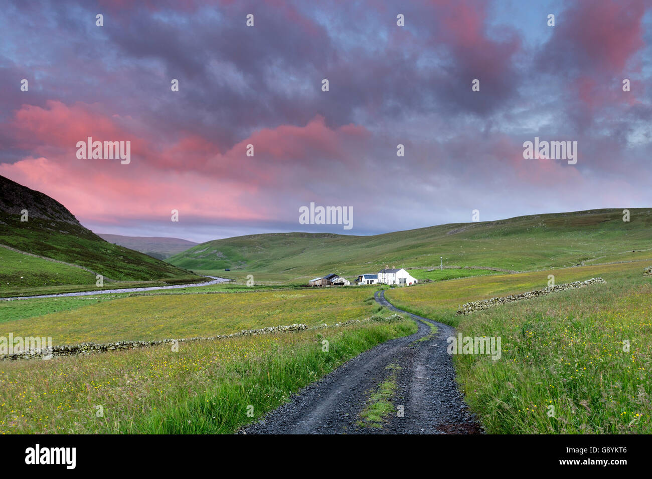 Widdybank Farm, obere Teesdale, County Durham UK. Donnerstag, 30. Juni 2016.  Großbritannien Wetter. Es war kühl, aber hell Start in den Tag in den North Pennines.  Die Prognose ist für täglich meist trocken mit sonnigen Abschnitten, aber am Abend, die Ausbrüche von Regen Osten verbreiten sollen. Bildnachweis: David Forster/Alamy Live-Nachrichten Stockfoto