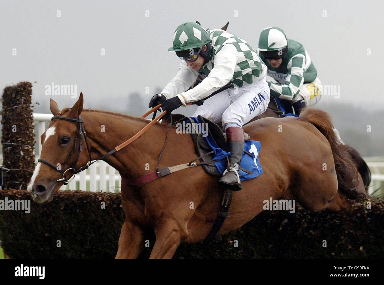 Der von Richard Johnson gerittene Chilling Place springt als Letzter auf die Rennstrecke von Exeter, Dienstag, 18. Oktober 2005, um die Total Pumps Beginners' Chase zu gewinnen. DRÜCKEN SIE VERBANDSFOTO. Das Foto sollte lauten: Barry Batchelor/PA. Stockfoto