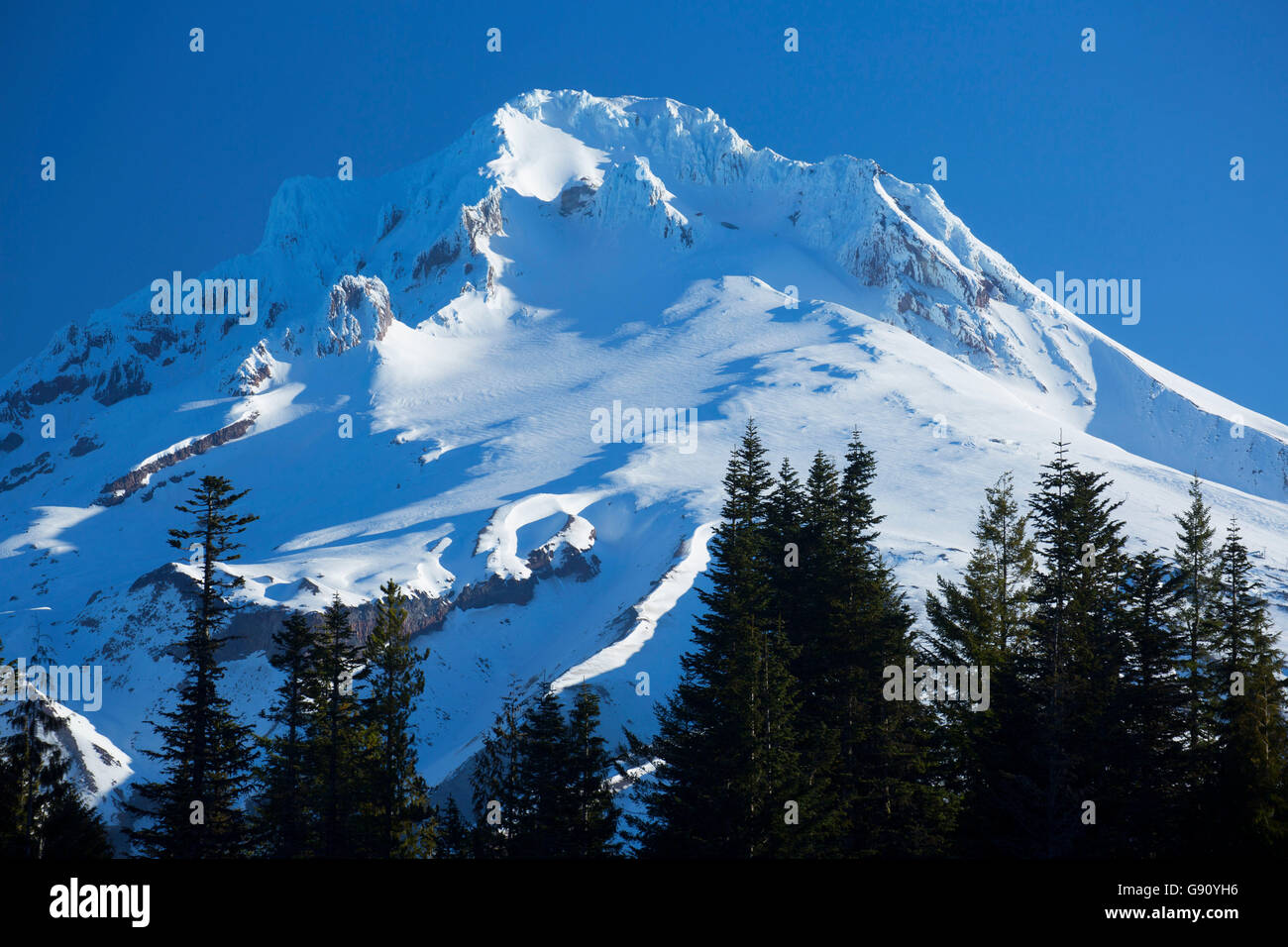 Mt. Hood von Mirror Lake, Mt. Hood National Forest, Oregon Stockfoto