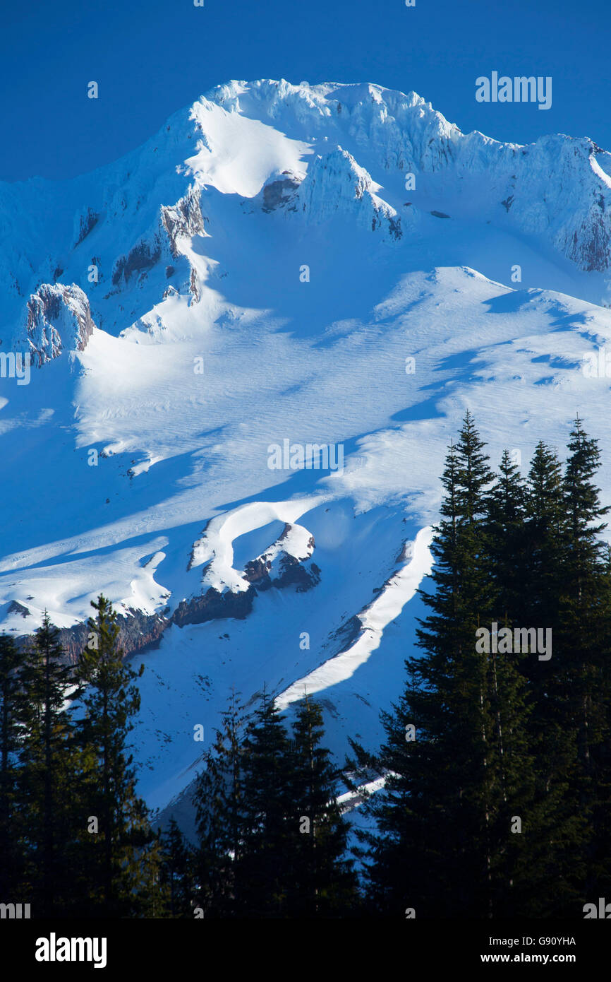 Mt. Hood von Mirror Lake, Mt. Hood National Forest, Oregon Stockfoto