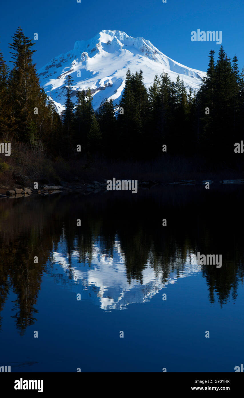 Mt. Hood mit Reflexion von Mirror Lake, Mt Hood National Forest, Oregon Stockfoto