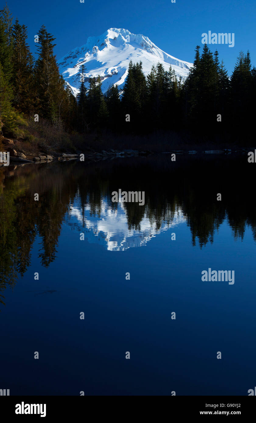 Mt. Hood mit Reflexion von Mirror Lake, Mt Hood National Forest, Oregon Stockfoto