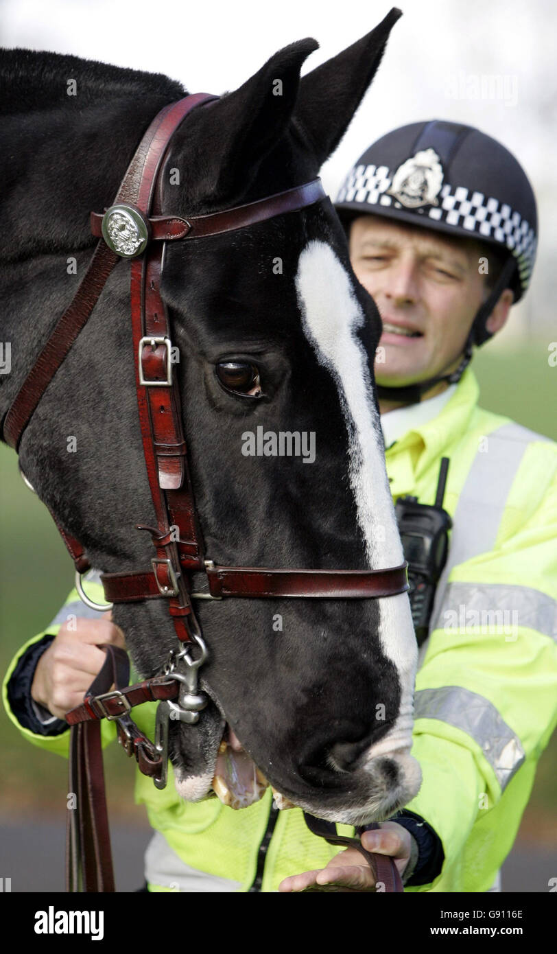 Lothian und Borders Police's Top-Polizeipferd "Trooper" an seinem letzten Arbeitstag als Polizeipferd mit seinem aktuellen Reiter PC Douglas Tait im Inverleith Park in Edinburgh Dienstag, 1. November 2005. Trooper, der jetzt 21 Jahre alt ist, ist das dienstälteste Polizeipferd der Streitkräfte, nachdem er vor etwa 16 Jahren der berittenen Sektion beigetreten ist. Siehe PA Story SCOTLAND Horse. FOTO-KREDIT DER PRESSEVEREINIGUNG SOLLTE ANDREW MILLIGAN/PA LAUTEN Stockfoto