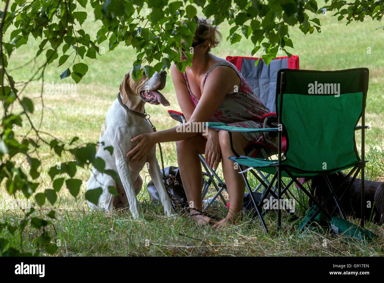 Hündin. Auf der Wiese unter den Bäumen, Sommerhitze Sommergarten Hund Stockfoto
