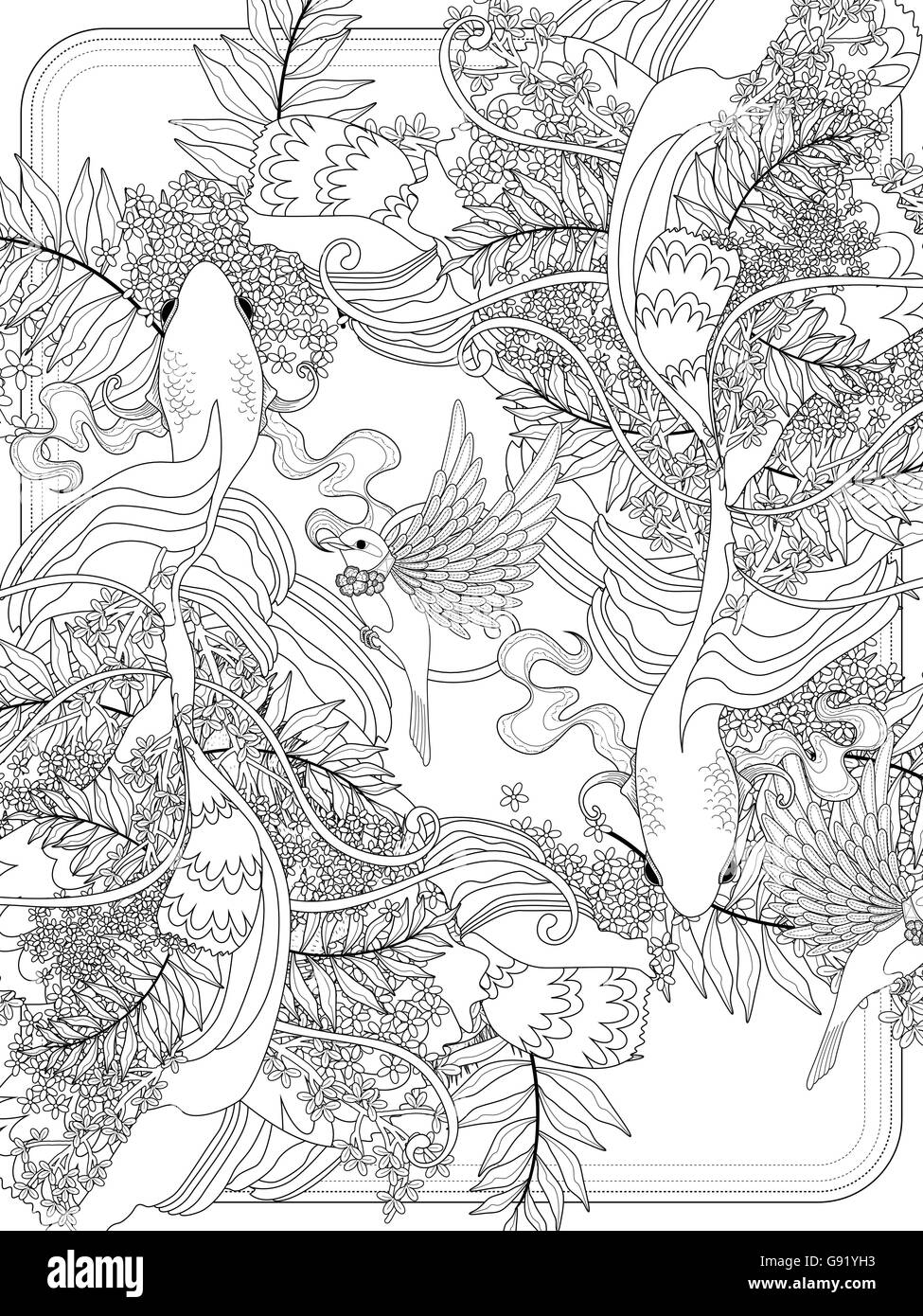 anmutige Goldfische Schwimmen unter Wasser Erwachsene