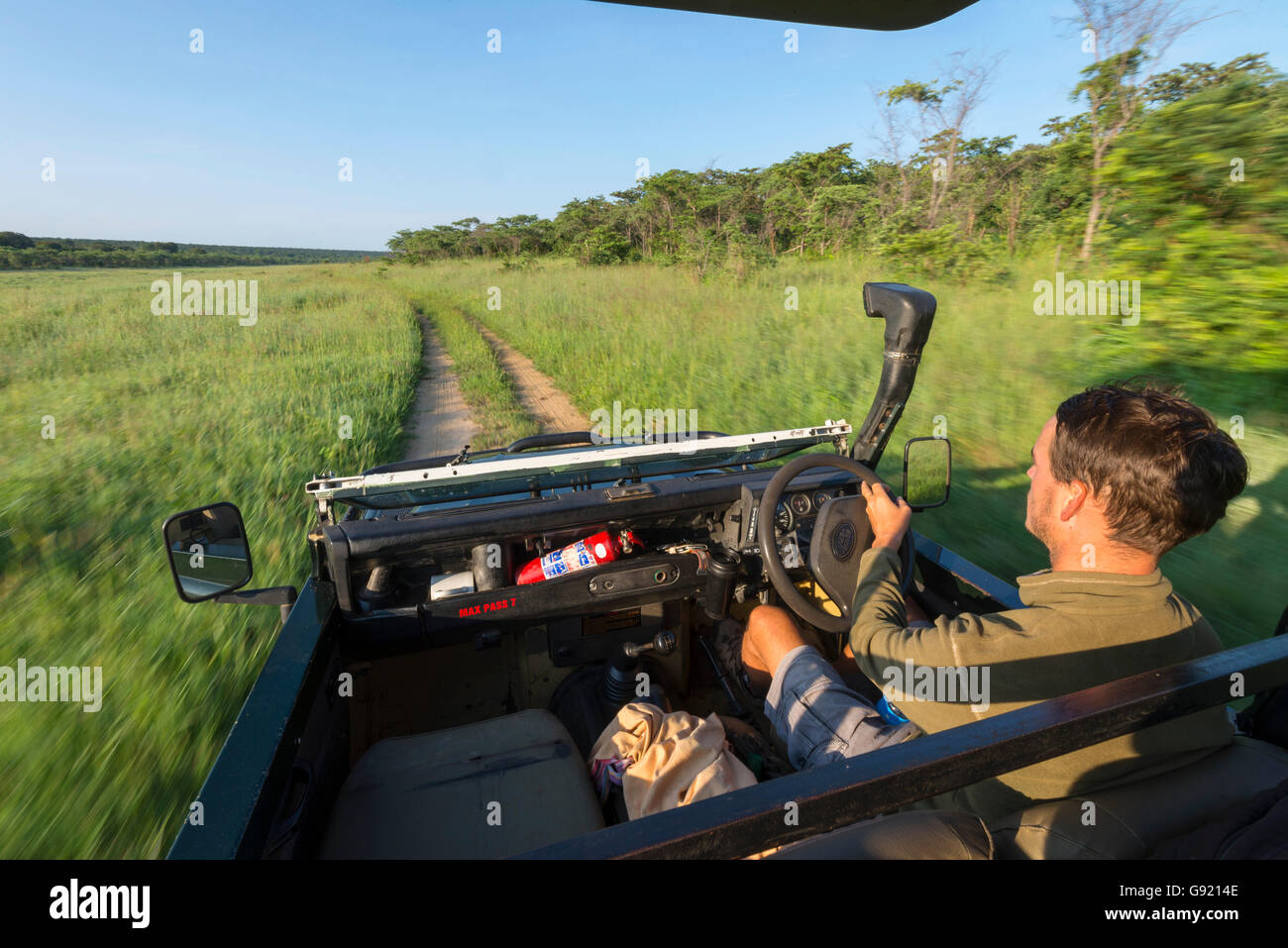 Ein Safariführer, der durch Ferngläser im Zambezi-Nationalpark in Simbabwe in der grünen Jahreszeit schaut. Stockfoto