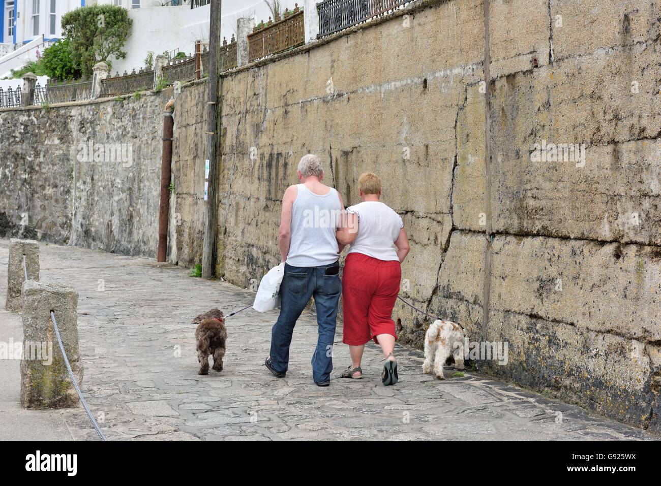 Ein älteres paar 2 Hunden spazieren entlang der Uferstraße in Porthleven Cornwall England UK Stockfoto