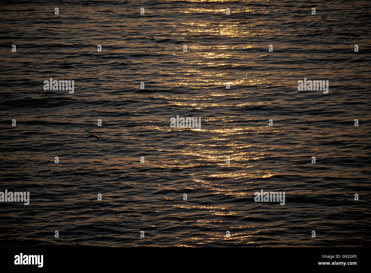 Sonnenlicht reflektieren, Wasser Stockfoto