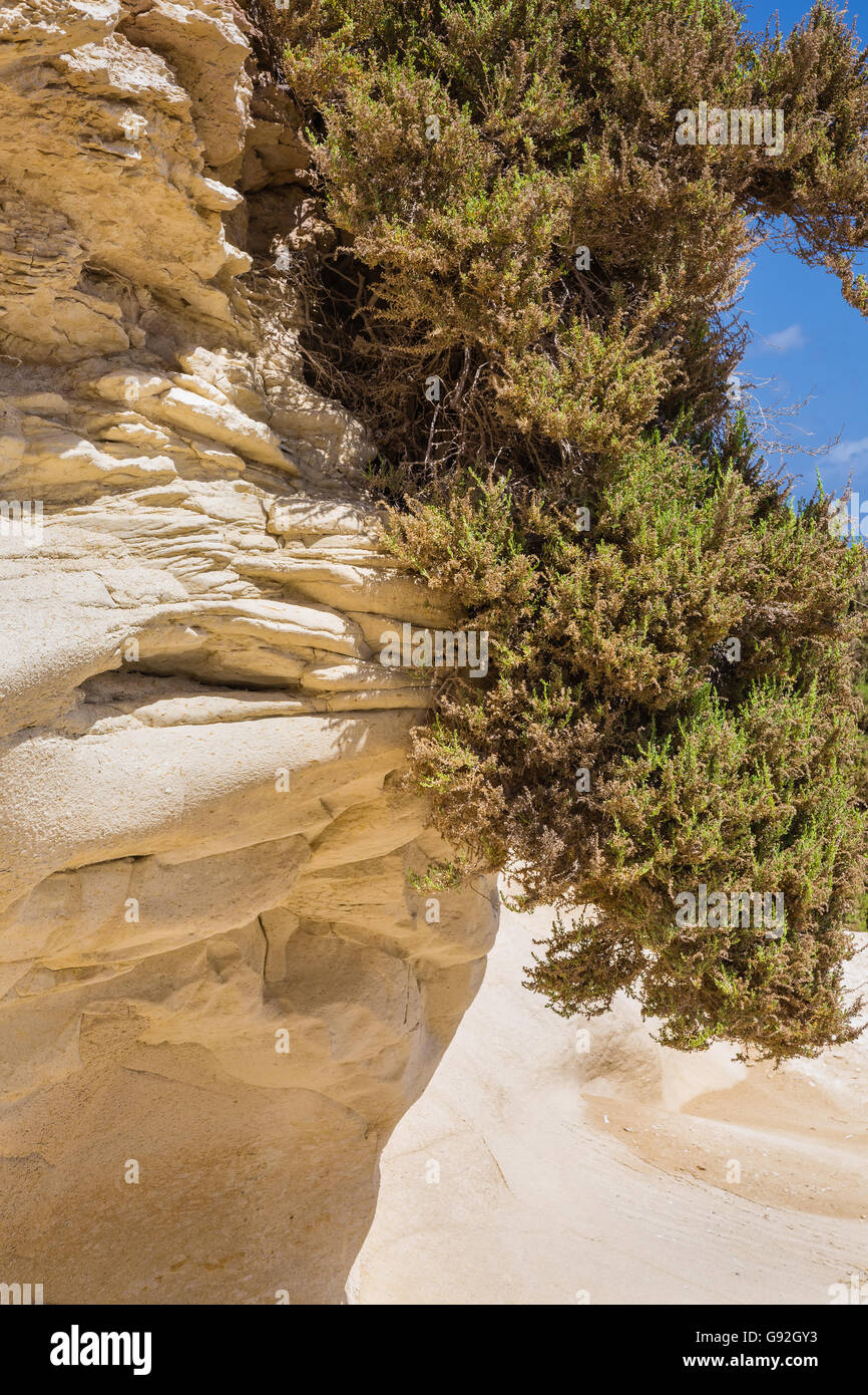 An der felsigen Küste von sandigen Sedimenten und Sandsteinfelsen geformt. Marsaskala an der Küste der Insel Malta im Mittelmeer. Stockfoto