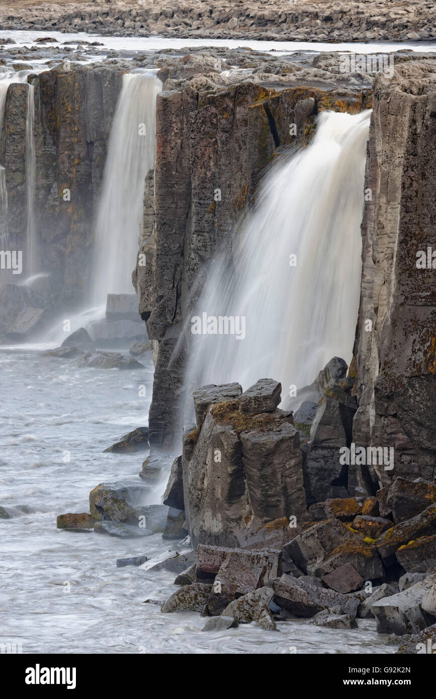 Wasserfall Selfoss, in der Nähe von Dettifoss, Fluss Joekulsa Fjoellum, Joekulsargljufur Nationalpark, Vatnajoekull Nationalpark, Island, Europa Stockfoto
