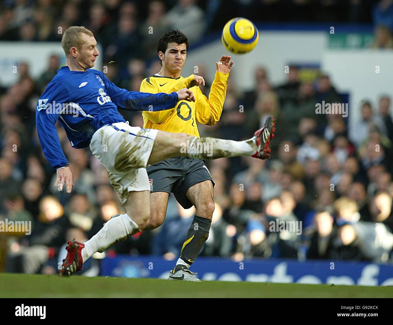 Fußball - FA Barclays Premiership - Everton / Arsenal - Goodison Park. Evertons Tony Hibbert und Arsenals Francesc Fabregas Stockfoto