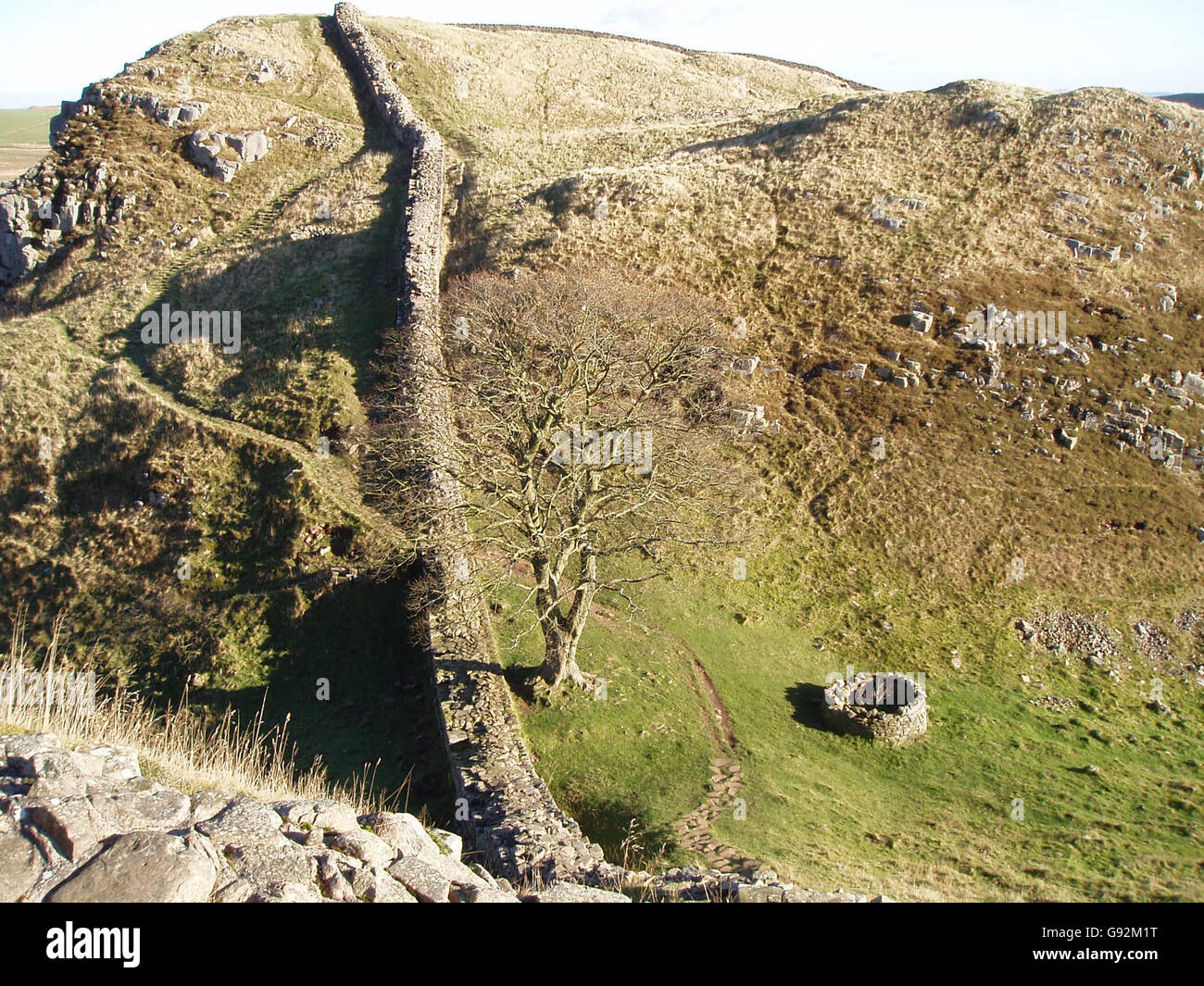 Sycamore Gap Stockfoto