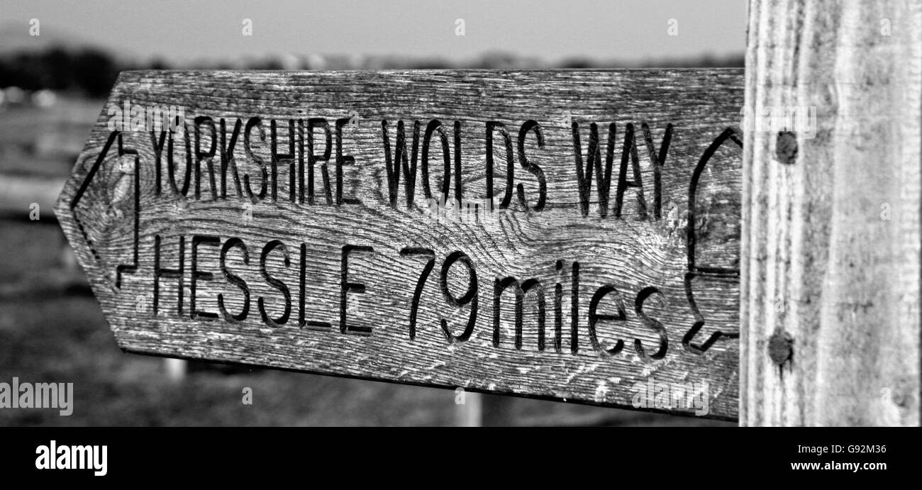 Yorkshire Wolds so schwarz und weiß Stockfoto
