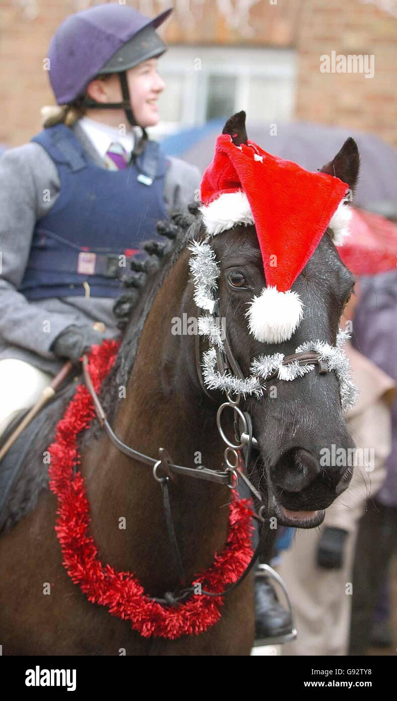 Mitglieder der Atherstone-Jagd verlassen den Marktplatz von Bosworth in Leicestershire am Montag, den 26. Dezember 2005. Am ersten Boxing Day seit Inkrafttreten des Jagdgesetzes trafen sich heute im ganzen Land Jagden. Das Countryside Alliance sagte, Hunderttausende von Menschen würden ihre lokalen Jagden unterstützen, da eine neue Umfrage ergab, dass nur ein Drittel der Menschen der Meinung ist, dass die neue Gesetzgebung funktioniert. Siehe PA Story SOCIAL Hunting. DRÜCKEN SIE VERBANDSFOTO. Das Foto sollte lauten: Rui Vieira/PA. Stockfoto