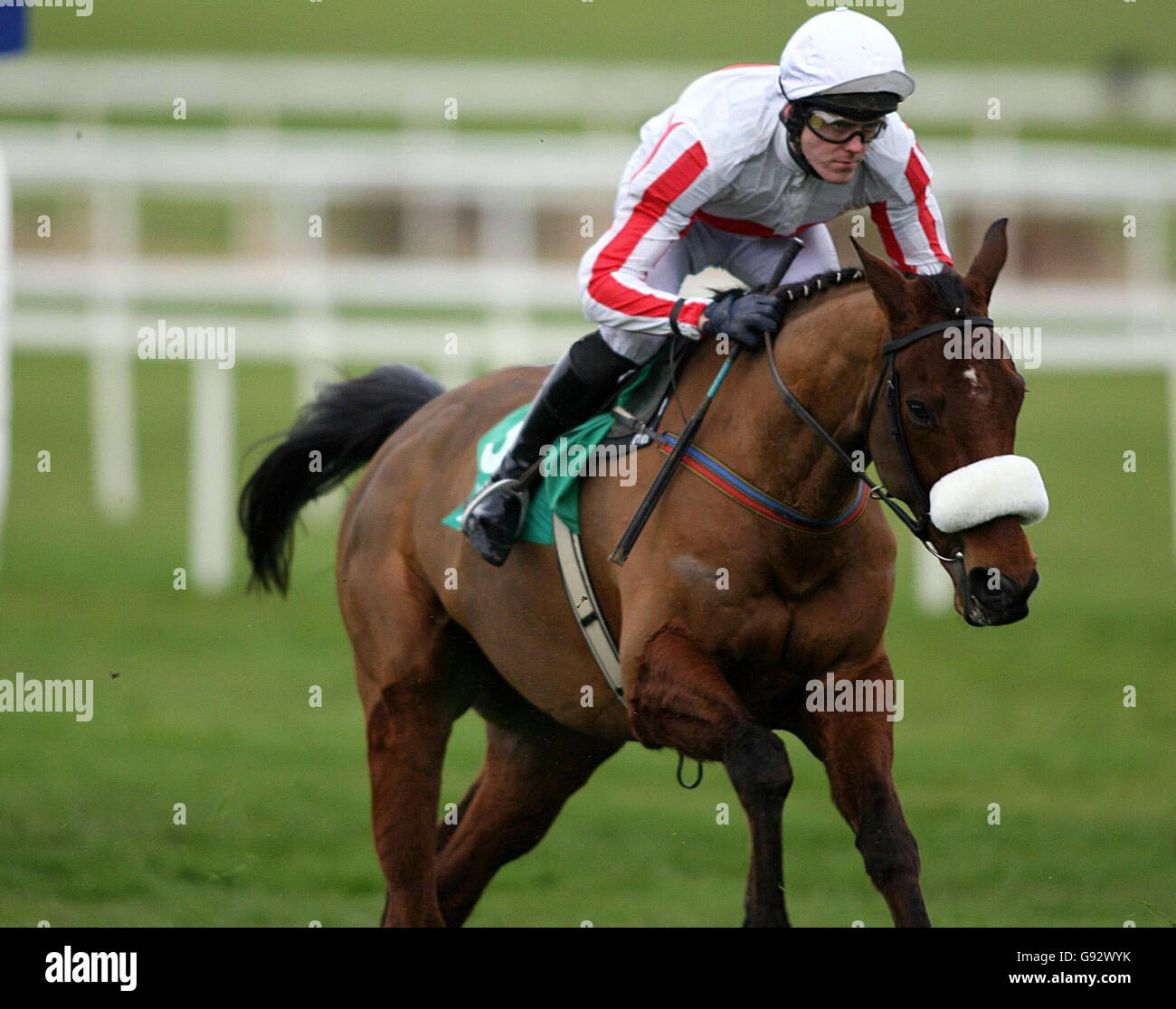 Hallo Cloy und Jockey Andrew McNamara gewinnt die Paddy Power Dial-A-Bet Steeplechase auf Leopardstown Rennbahn, Dublin, Irland, Dienstag, 27. Dezember 2005. DRÜCKEN Sie VERBANDSFOTO. Bildnachweis sollte lauten: Julien Behal/PA. Stockfoto