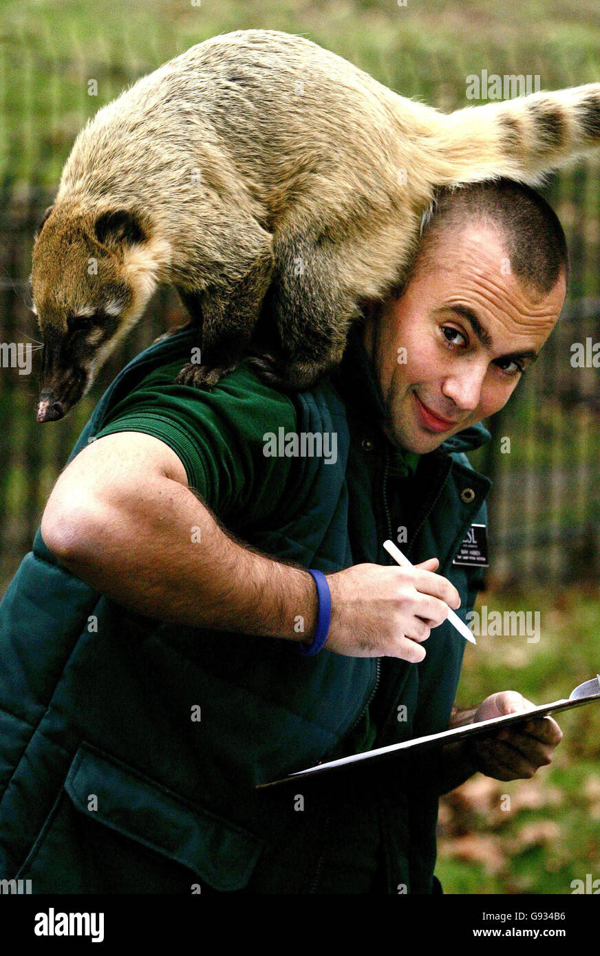 SOZIALE Zoo Stockfoto