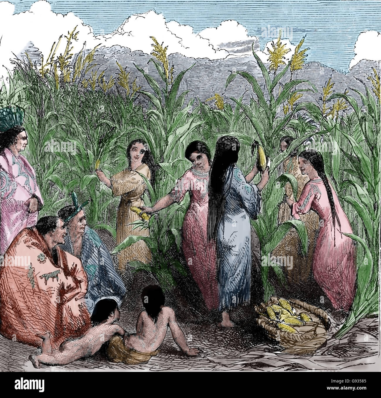 Amerika. Indianer Menschen Ernte Mais. Kupferstich, 19. Jahrhundert. Stockfoto