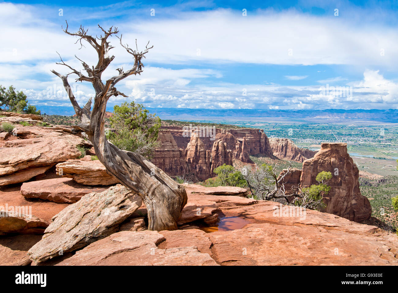 Versuchen Sie es in Colorado National Monument in den USA zu trocknen Stockfoto