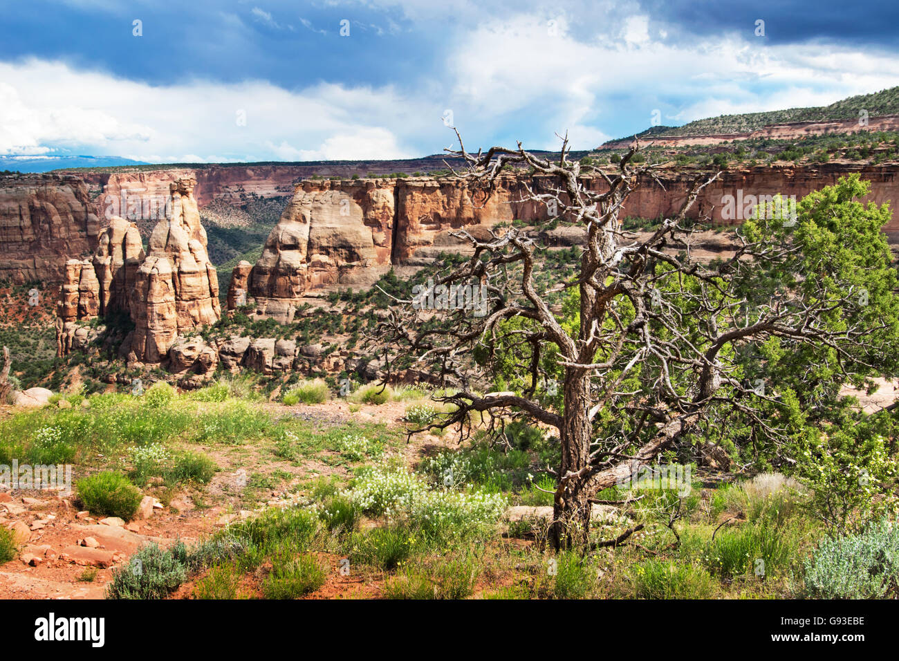 Versuchen Sie es in Colorado National Monument in den USA zu trocknen Stockfoto
