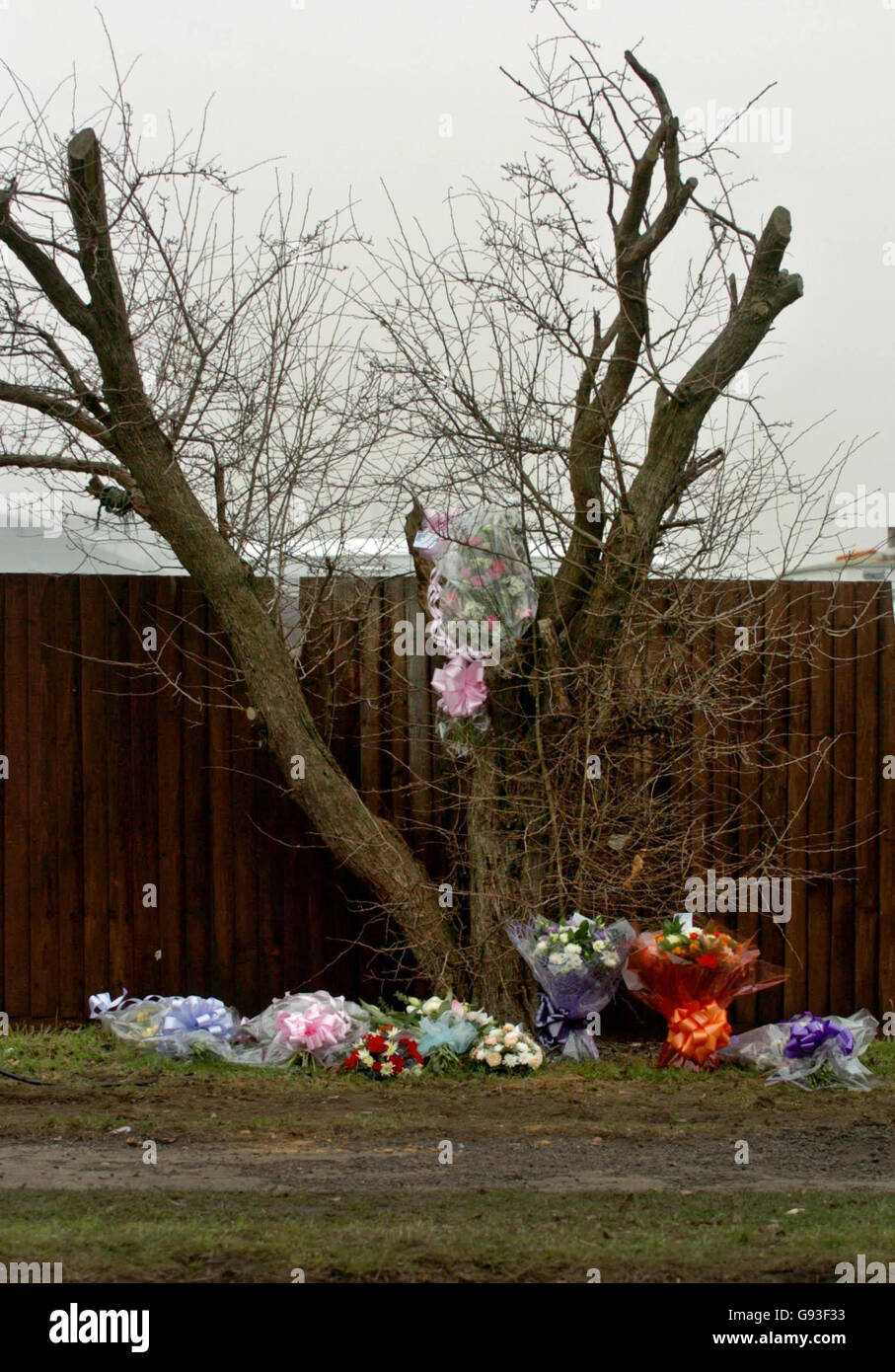 Blumen, die am Mittwoch, den 1. Februar 2006, am Ort des Unfalls am Dienstagabend in der Nähe von Tilbury, Essex, platziert wurden, bei dem vier Menschen starben. Die Jugendlichen waren alle in einem Ford Fiesta, der von einer 30-jährigen Frau, die im Krankenhaus ist, gefahren wurde, als er auf der A126 mit einer Vauxhall Corsa kollidierte. Siehe PA Geschichte UNFALL Absturz. DRÜCKEN SIE VERBANDSFOTO. Bildnachweis sollte lauten: Chris Radburn / PA. Stockfoto