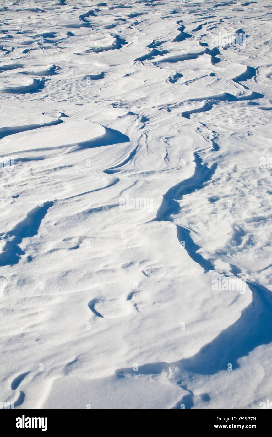 Snow drift, Wellen, wellenförmig, Vorarlberg, Austria, Europe Stockfoto