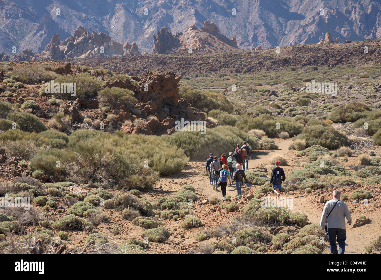 Wanderer in Las Canadas, Spanien, Teneriffa Stockfoto