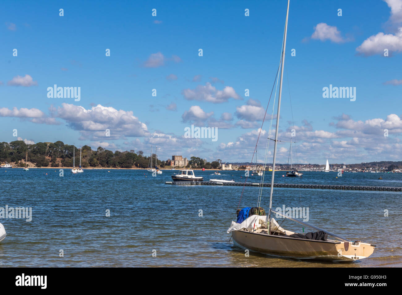 England Dorset Studland Ansicht von Poole Harbour zeigt Brownsea Island Adrian Baker Stockfoto