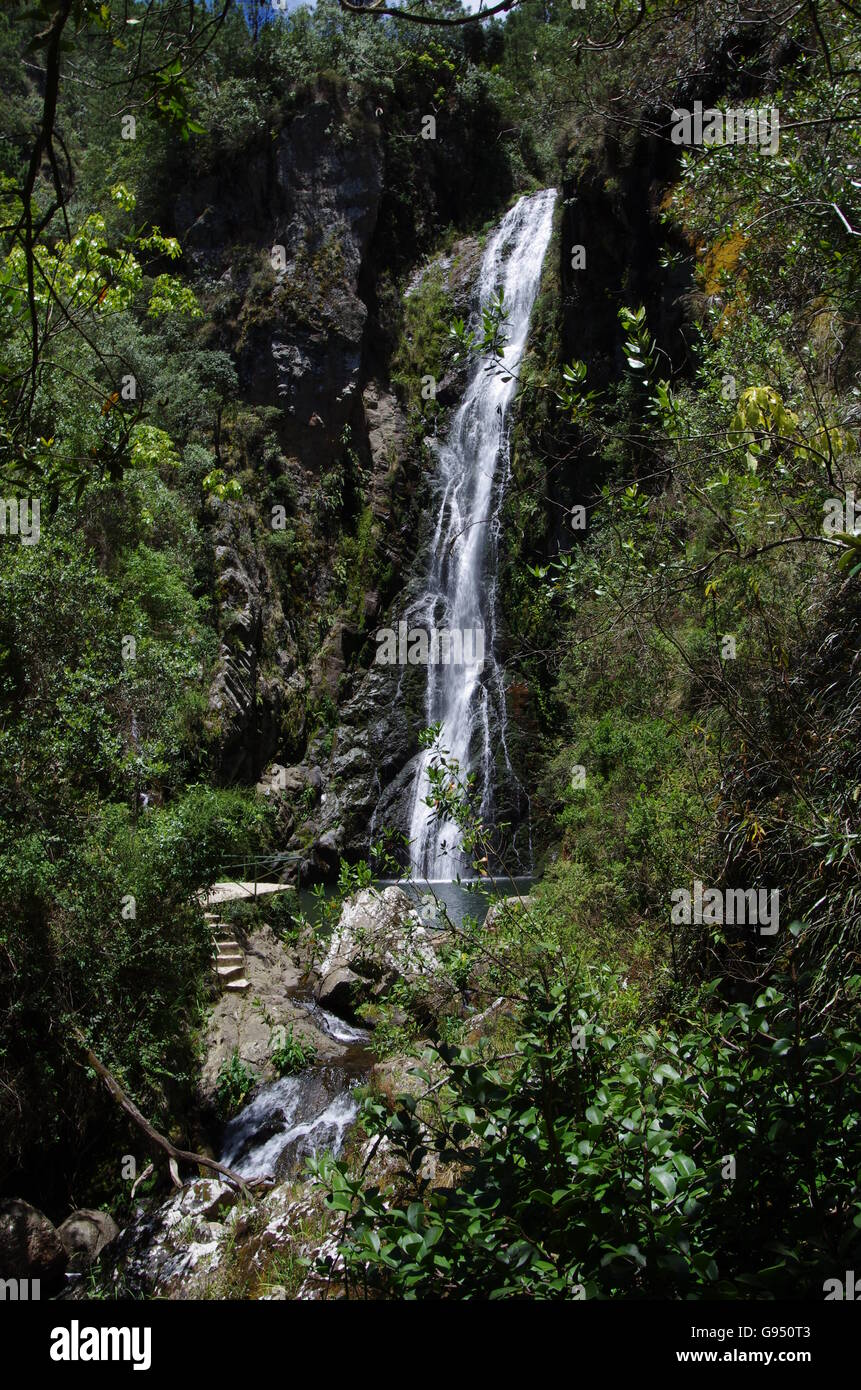 Wasserfall Las Aguas Blancas, abgelegenes Wasser, grüner Wald, schöne Aussicht, Dominikanische Republik, karibik Stockfoto