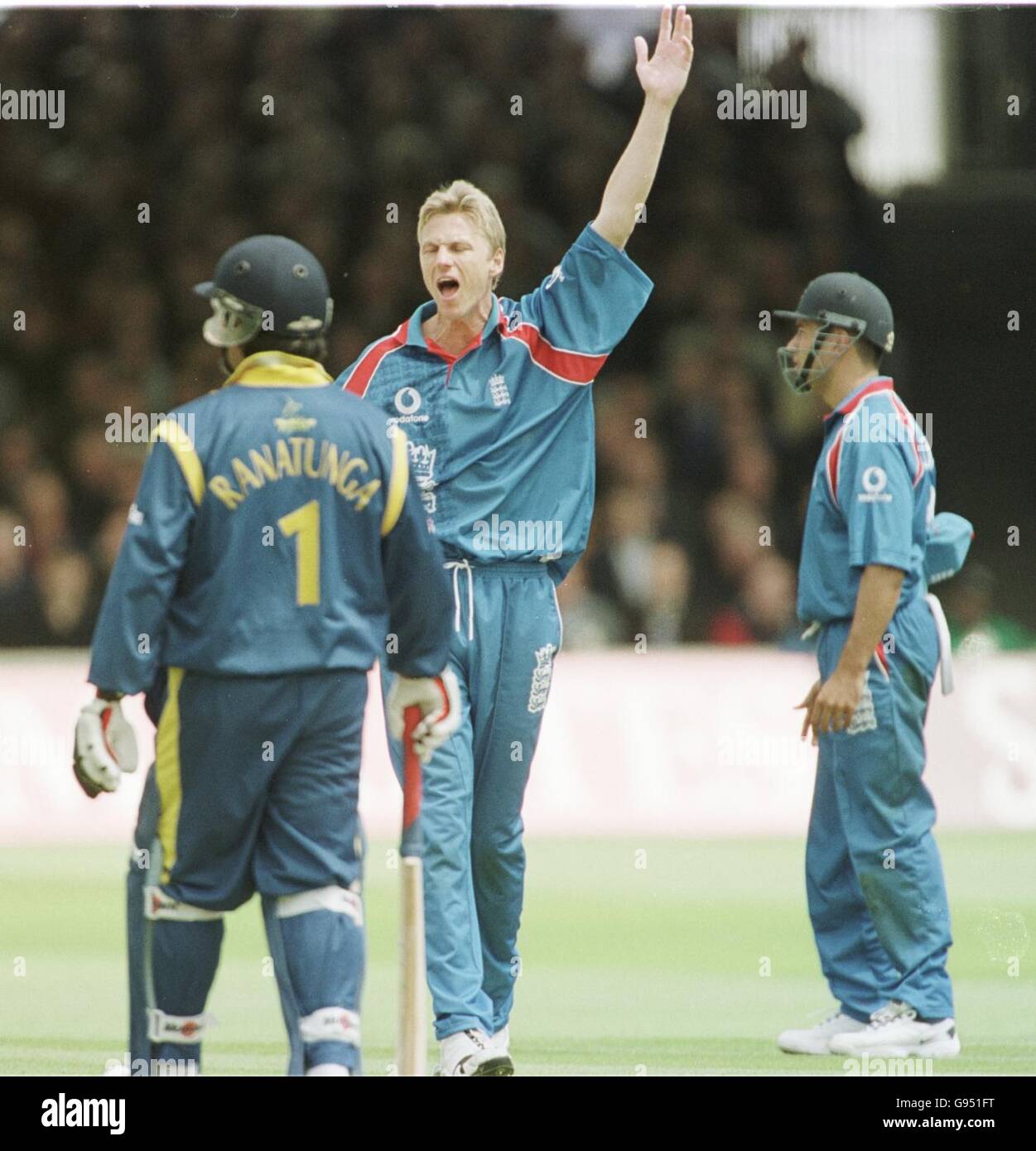 Englands Alan Mullally appelliert für ein Sri Lanka Wicket während Seine vier Wicket Haul Stockfoto