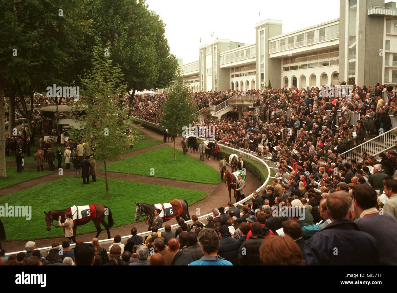 Pferderennen - Prix De L'Arc De Triomphe. Die konkurrierenden Pferde ziehen um den Paradering herum Stockfoto