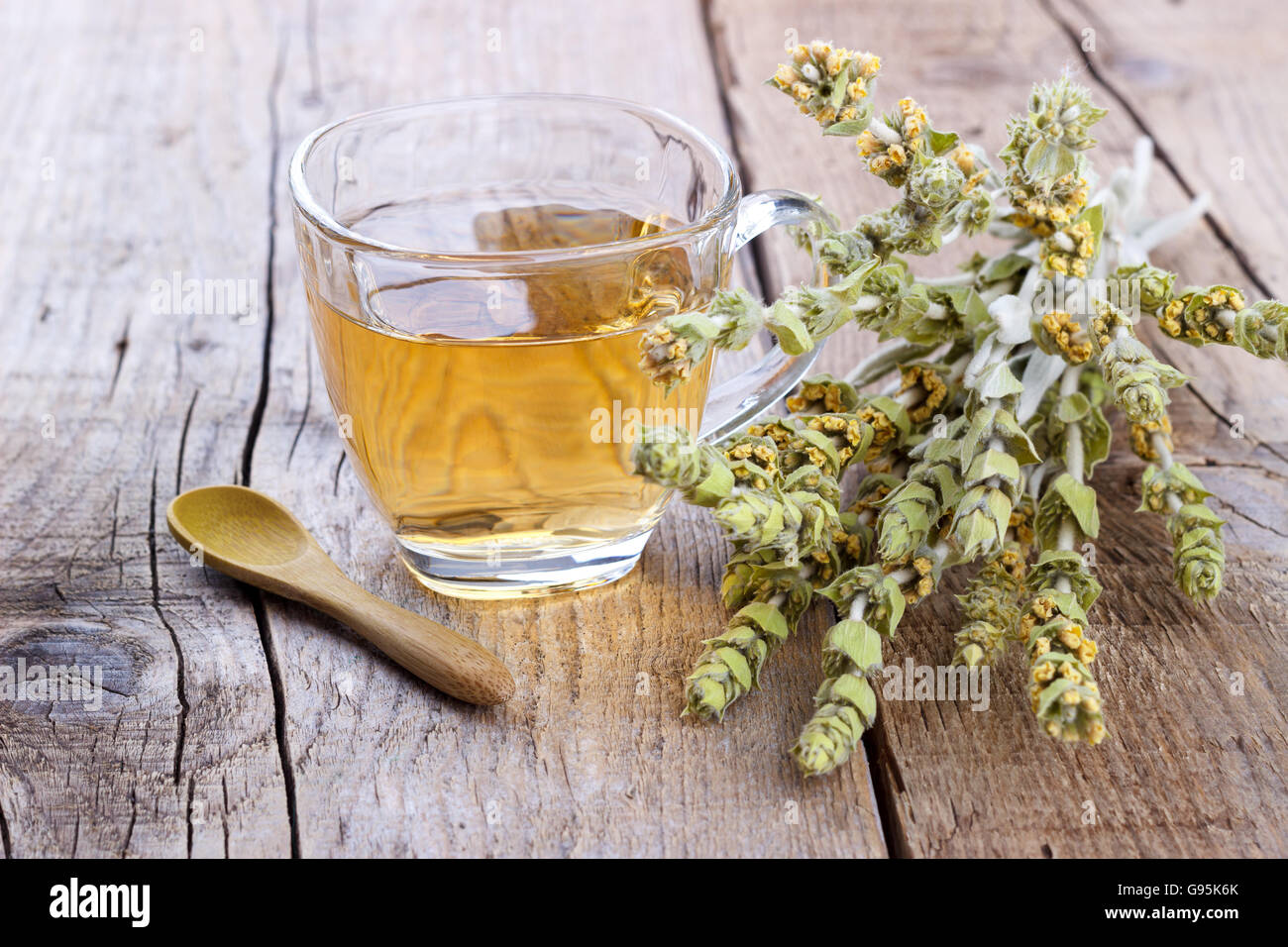 Bergtee. Sideritis Kräutertee und Blumen auf hölzernen Hintergrund, selektiven Fokus Stockfoto