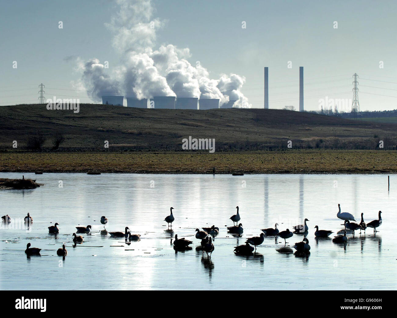 Schwäne und Gänse verhandeln Eis auf einem gefrorenen See in der Nähe von Castleford, West Yorks, Donnerstag, 2. März 2006. Angesichts der anhaltenden Vogelgrippe, der prognostizierten höheren Schneefälle in Teilen Großbritanniens und der prognostizierten Verschlechterung der Temperaturen unter dem Nullpunkt durchläuft die Vogelpopulation immer wieder schwere Zeiten. DRÜCKEN Sie VERBANDSFOTO. Bildnachweis sollte lauten: John Giles/PA. Stockfoto