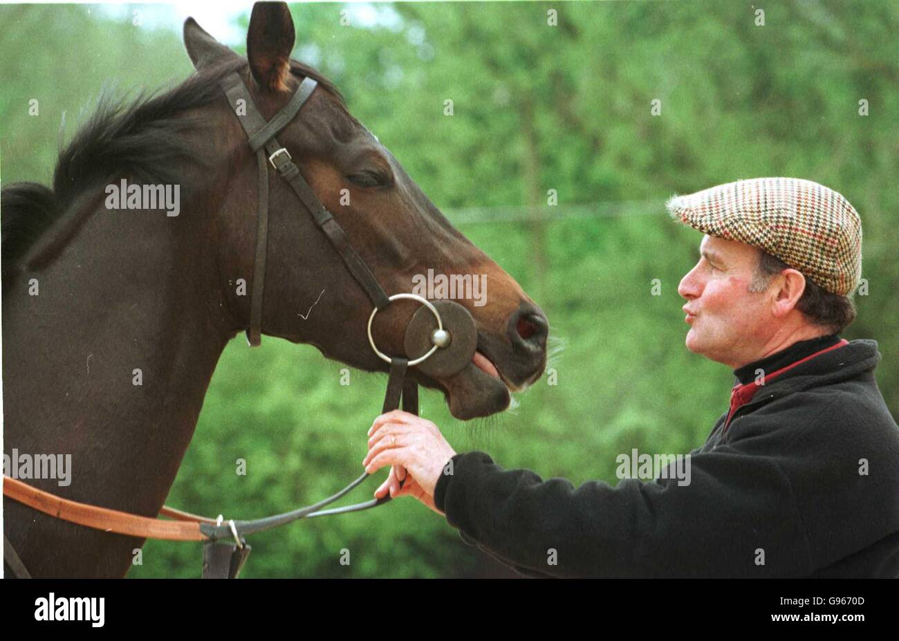 Pferdeställe Racing - Trainer Peter Makin und kaiserliche Schönheit - Bonita, Wiltshire Stockfoto
