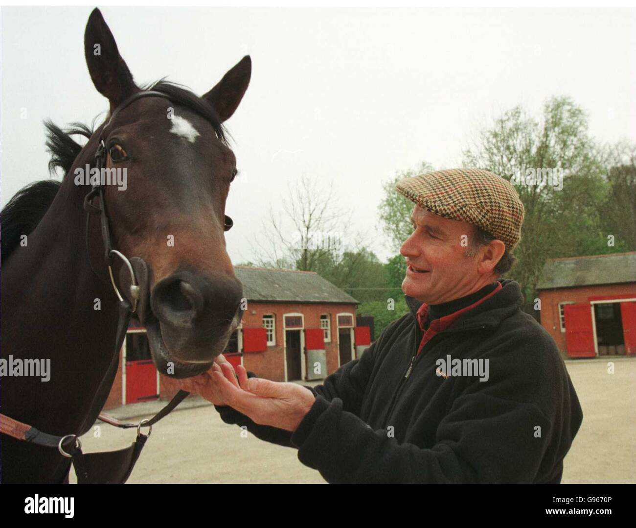 Pferdeställe Racing - Trainer Peter Makin und kaiserliche Schönheit - Bonita, Wiltshire Stockfoto