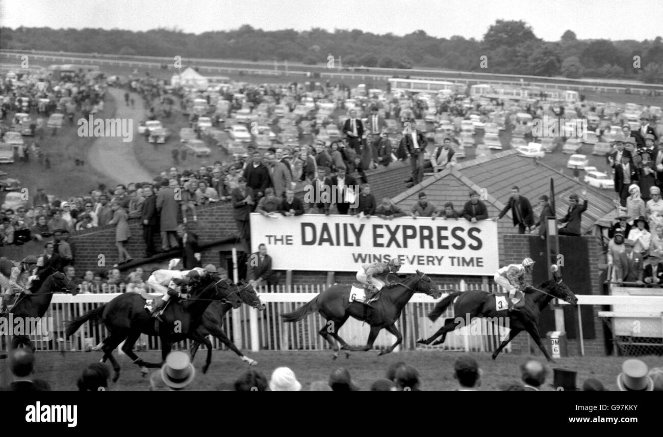 Das Ziel der Derby Stakes von Blakeney (Nr. 3) mit E Johnson gewonnen. Der zweite war Shoemaker (No6) mit B Taylor, der dritte Prince Regent (vorne links) mit J Deforge Up und der vierte, Moon Mountain (hinten links) mit Y Saint-Martin. Stockfoto